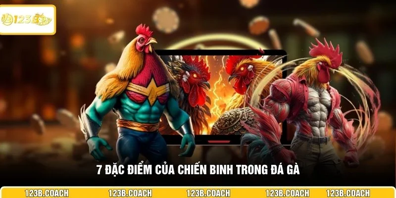 7 đặc điểm của chiến binh trong đá gà
