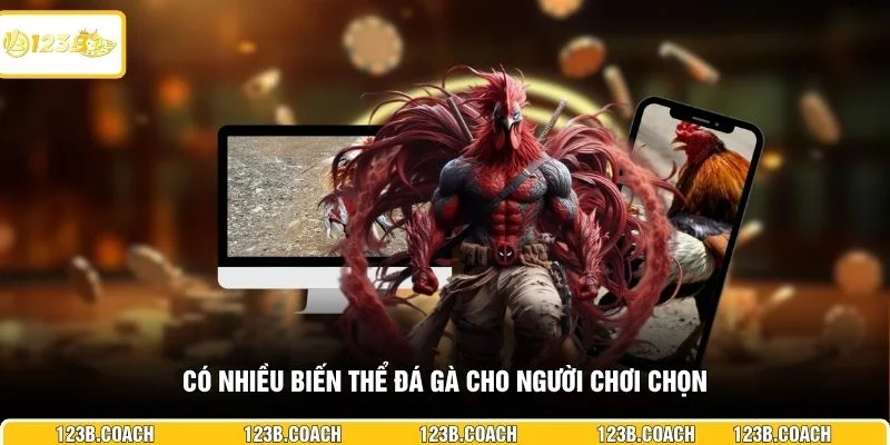 Có nhiều biến thể đá gà cho người chơi chọn