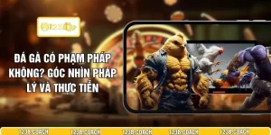 Đá Gà Có Phạm Pháp Không