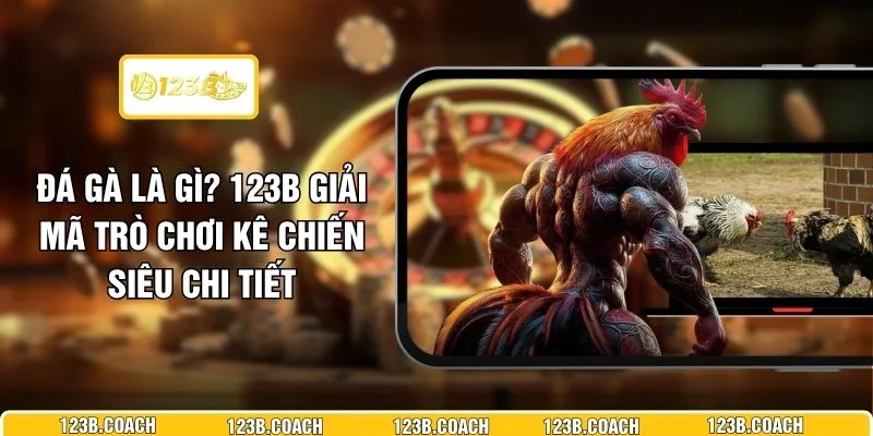 Đá Gà Là Gì