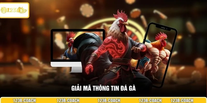 Giải mã thông tin đá gà