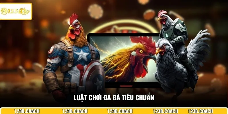 Luật chơi đá gà tiêu chuẩn
