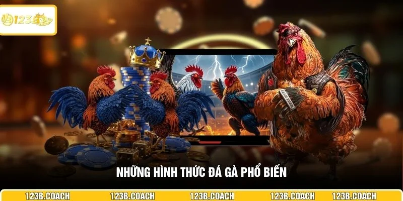 Những hình thức đá gà phổ biến