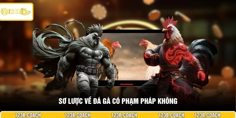 Sơ lược về đá gà có phạm pháp không